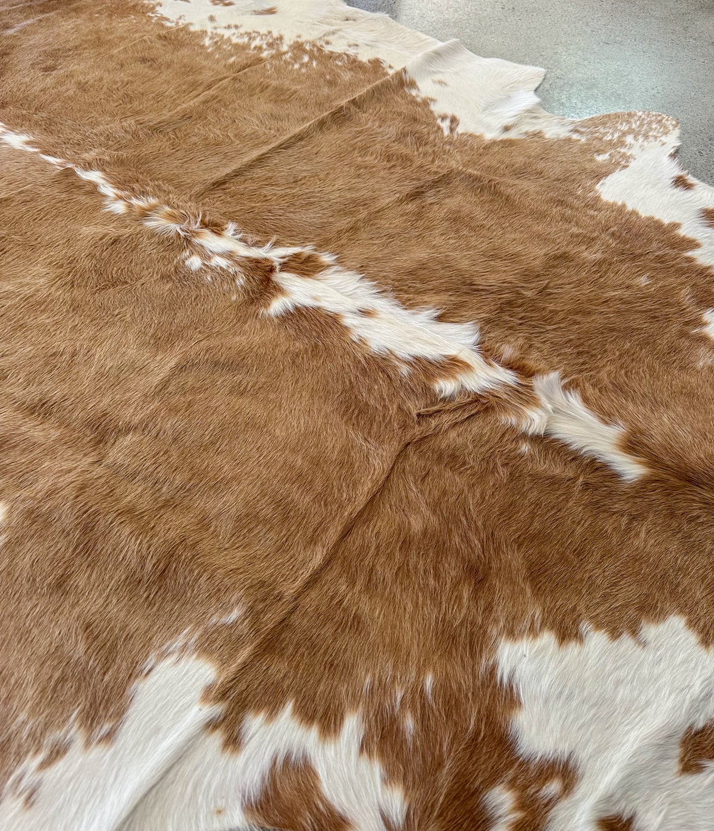 Large Cowhide Rug in Brown & White