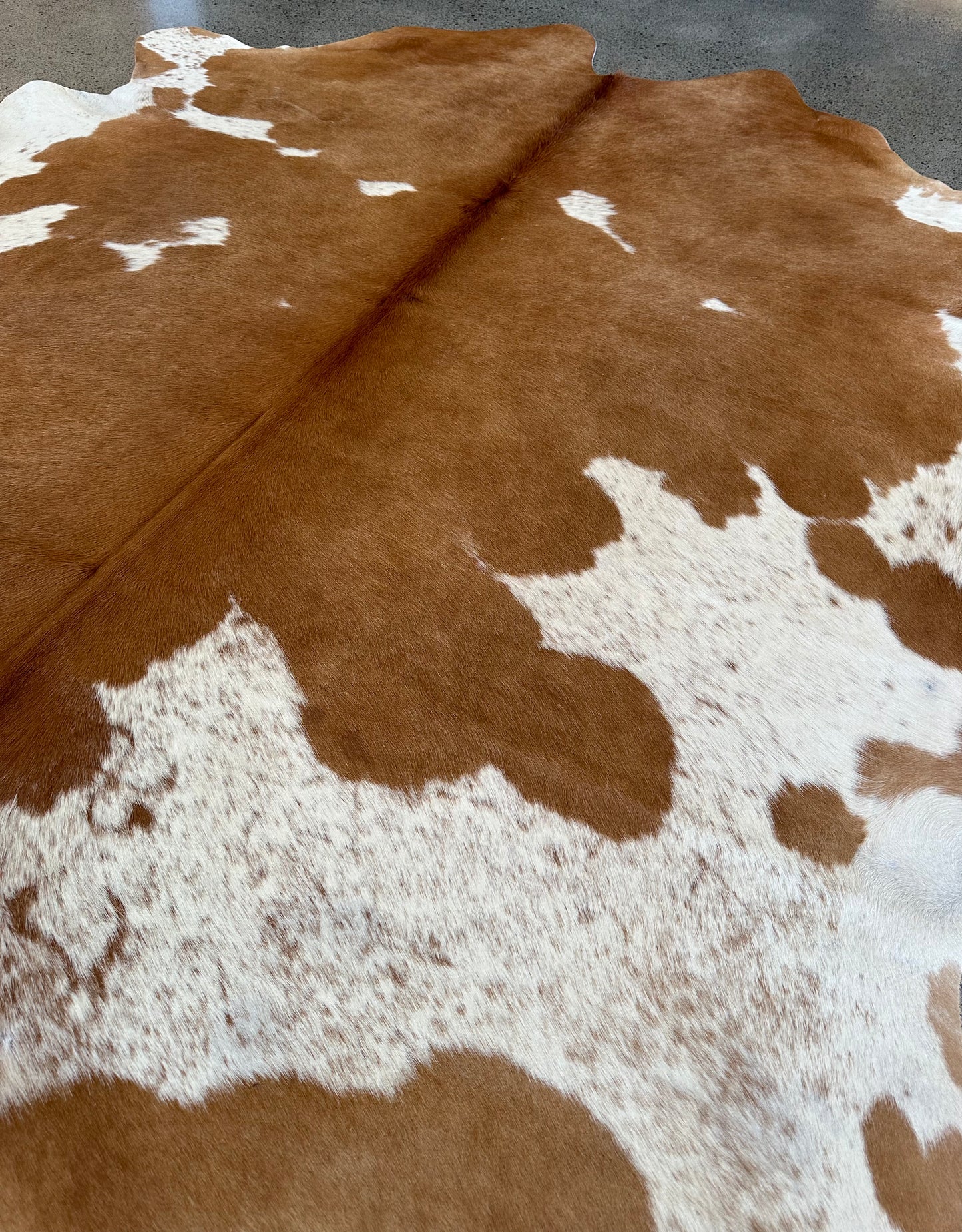 Large Cowhide Rug in Brown & White