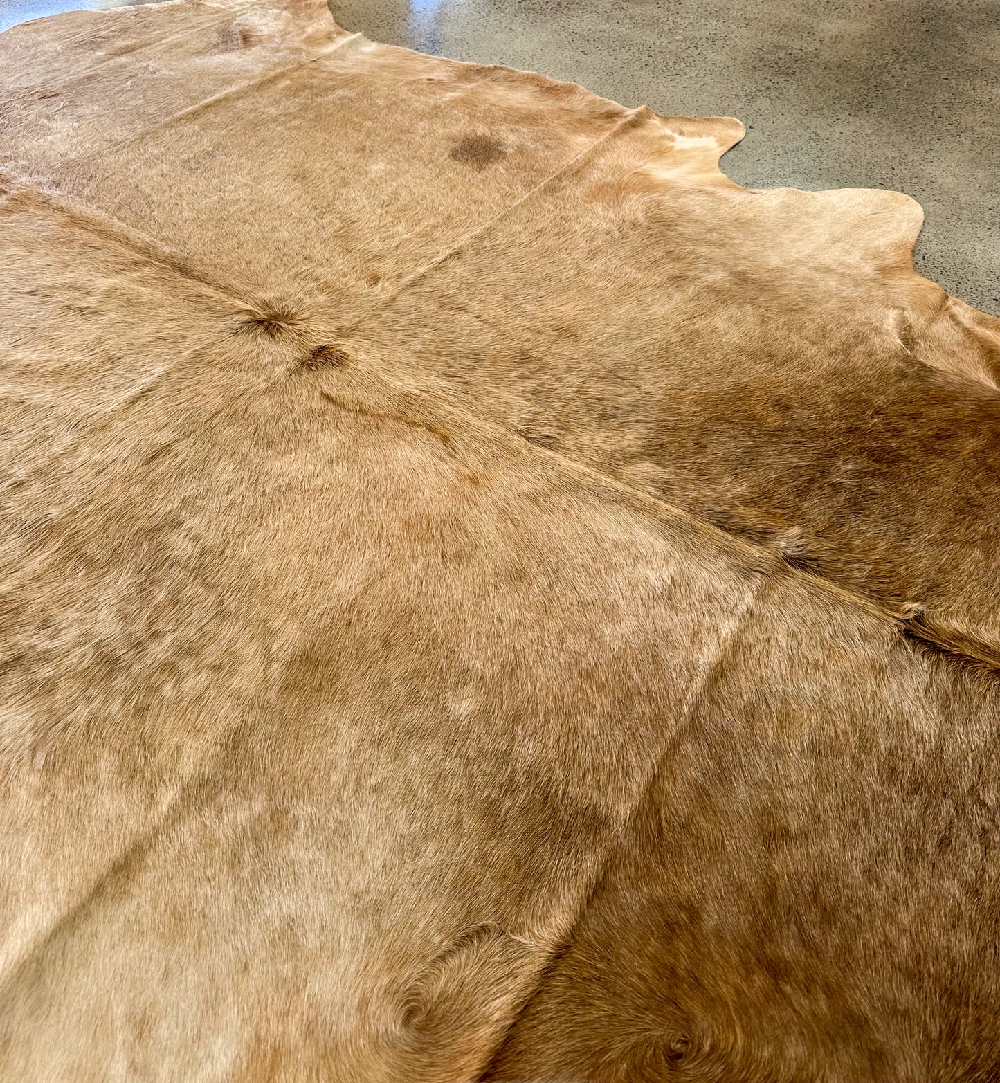 Large Cowhide Rug in Brown Champagne