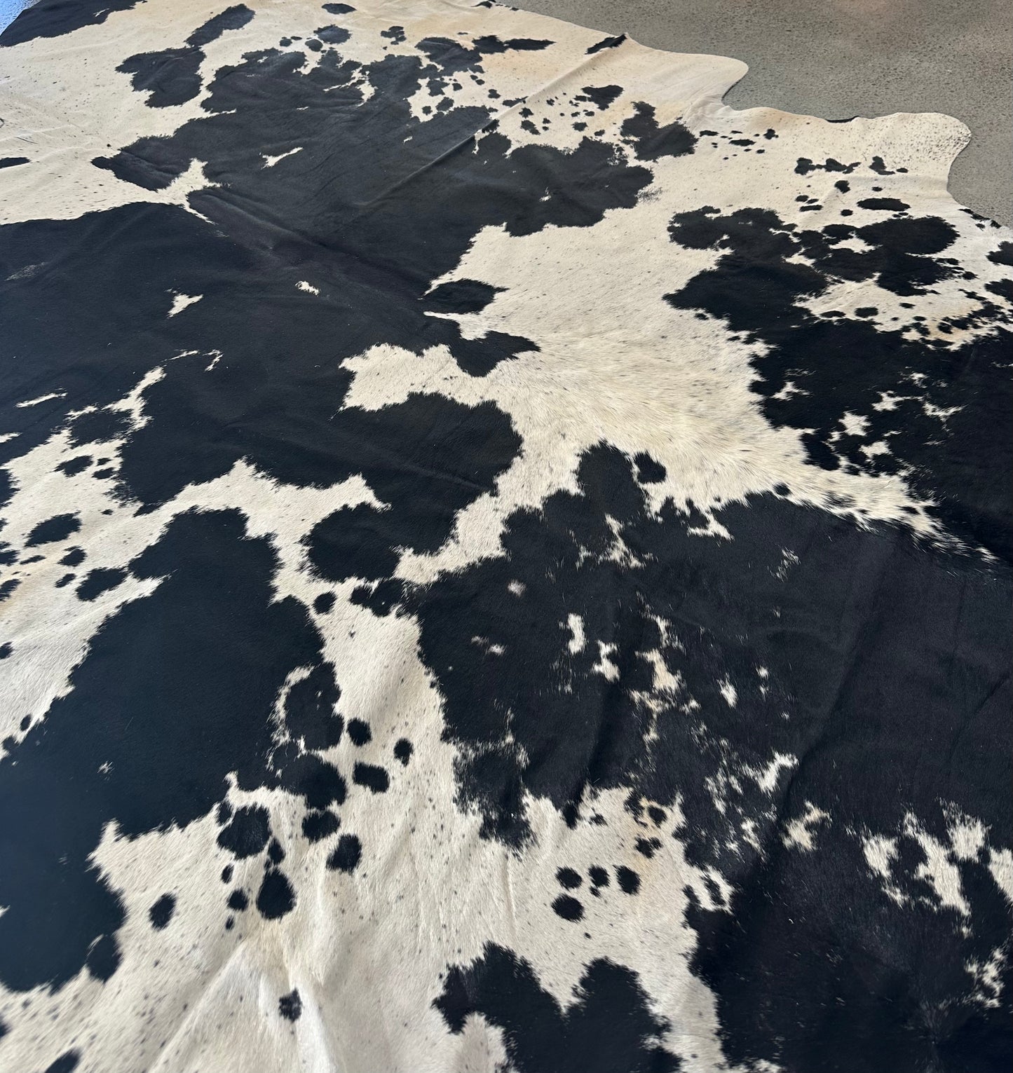 Large Cowhide in Black & White