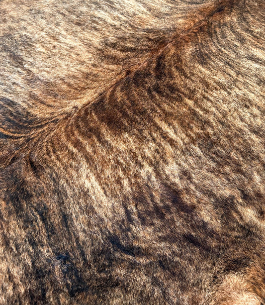 Large Cowhide Rug in Dark Brown Brindle