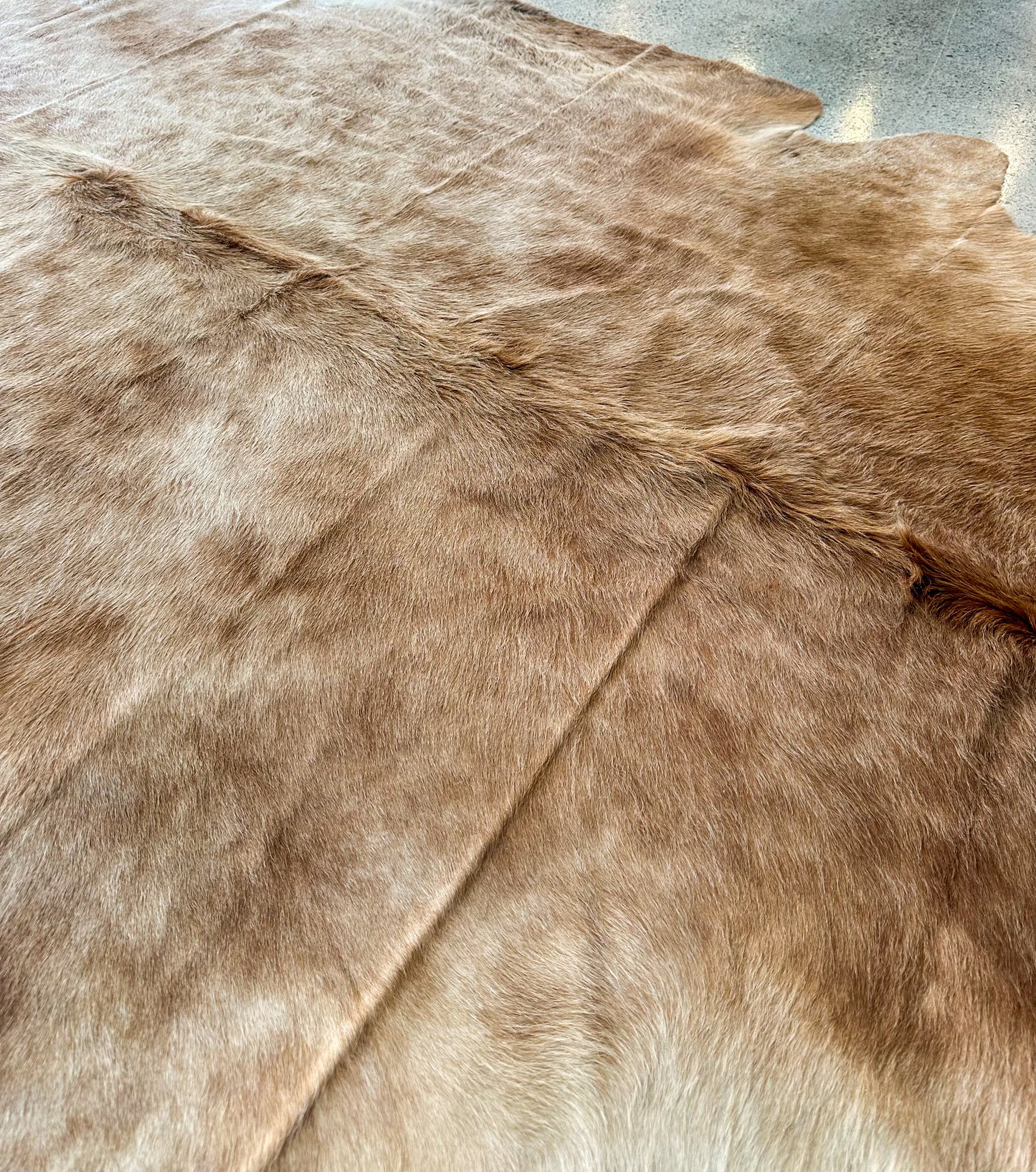 Large Cowhide Rug in Caramel Highlander