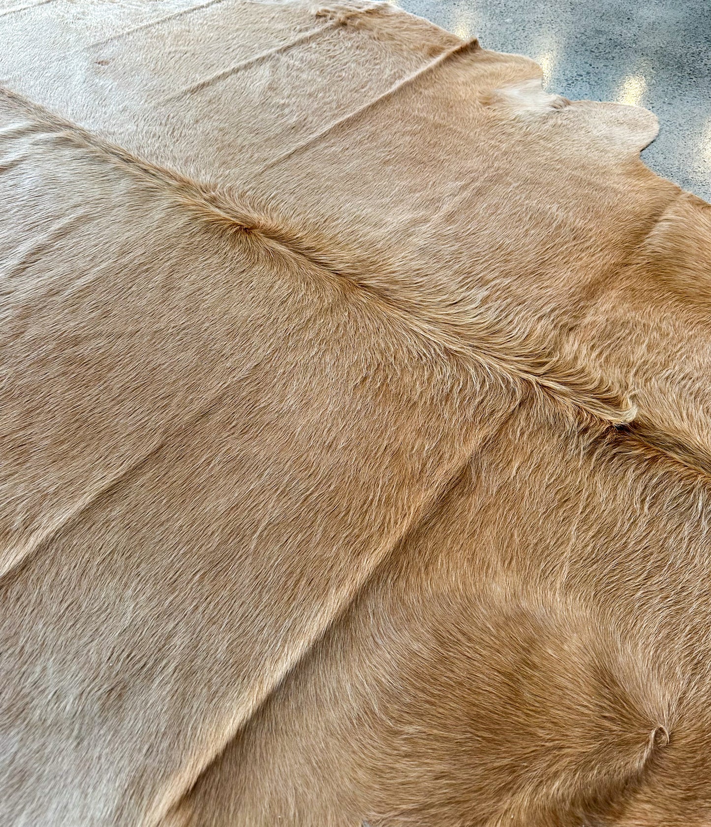 Large Cowhide Rug in Caramel Highlander