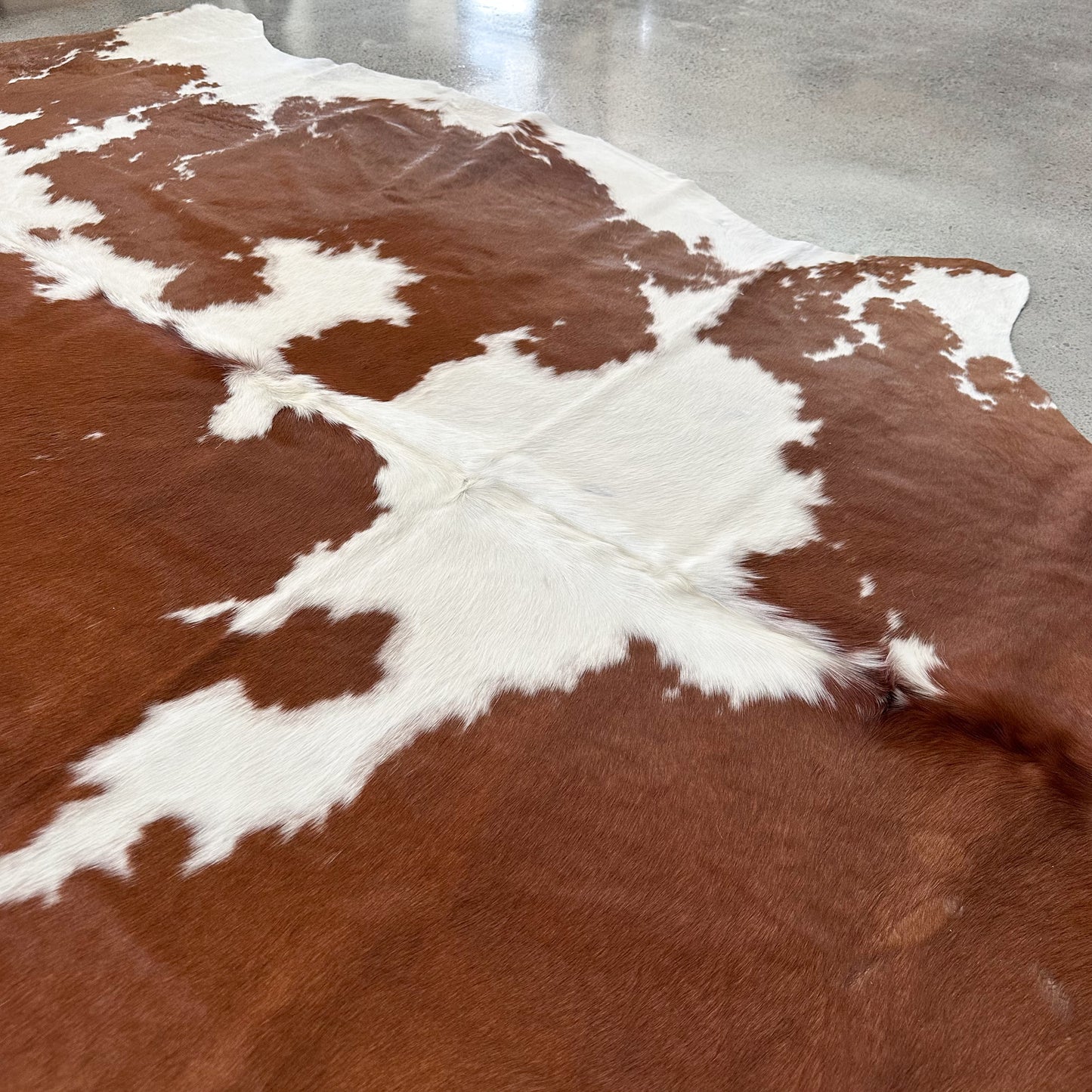 Large Premium Cowhide Rug in Brown and White
