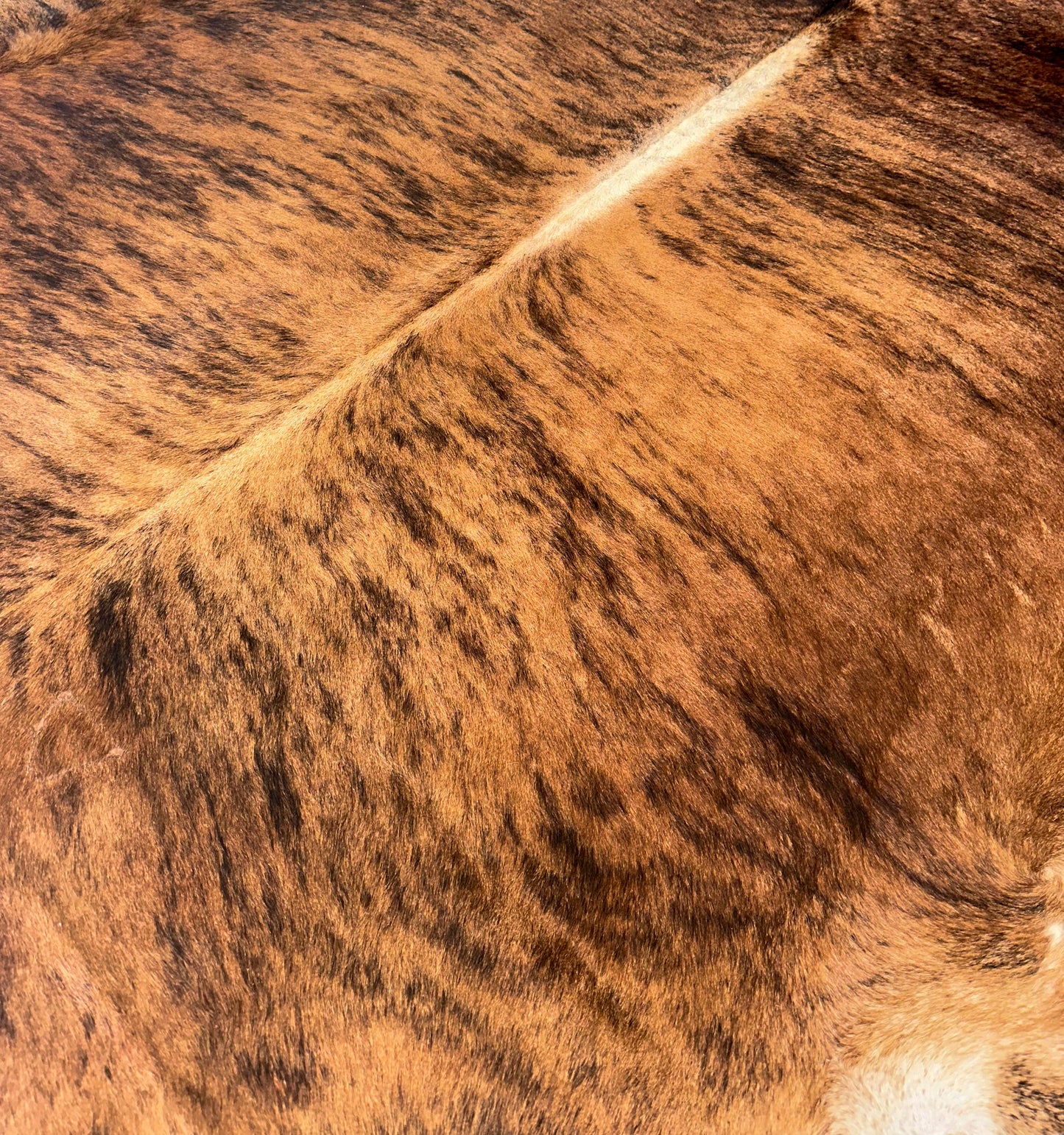 Large Cowhide Rug in Brown and White Brindle
