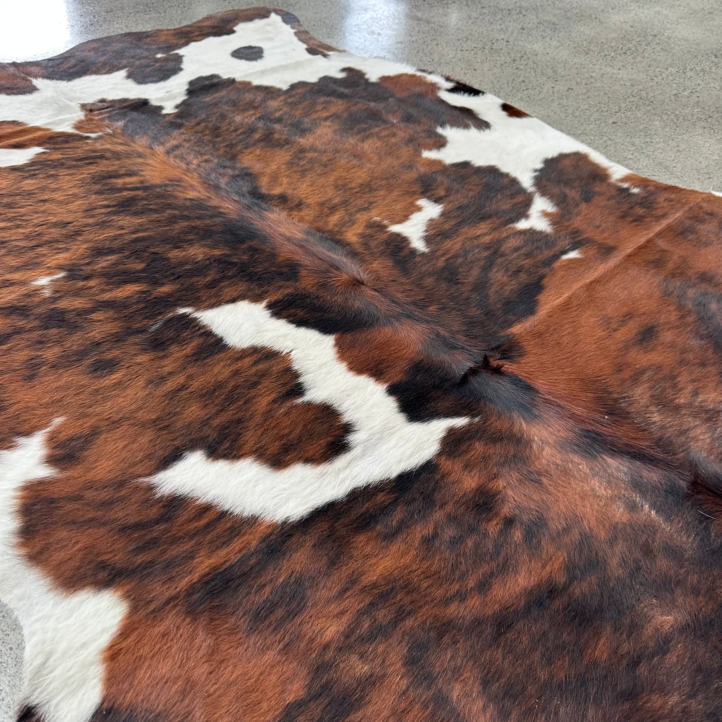Large premium cowhide rug in brown, black and white