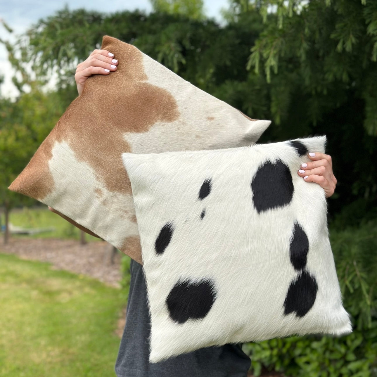 Black and white & tan and white cowhide cushions