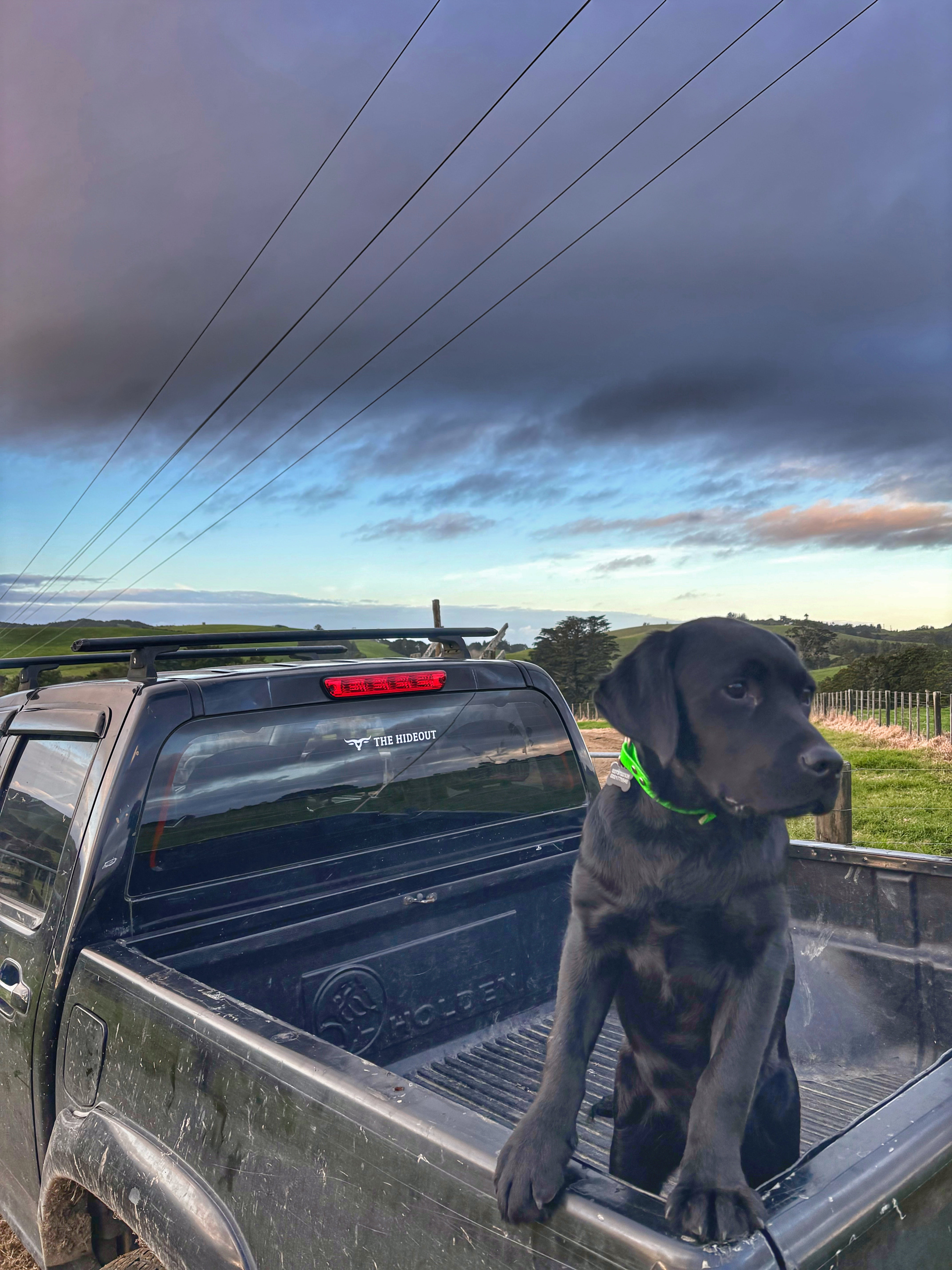 The Hideout Die Cut Sticker