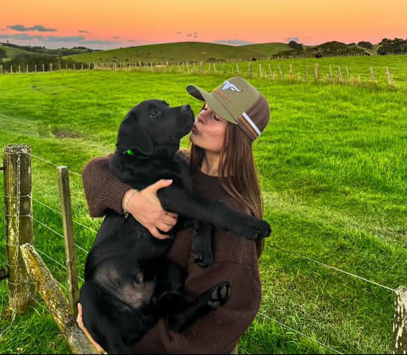 Rakaia Trucker Cap in green and brown