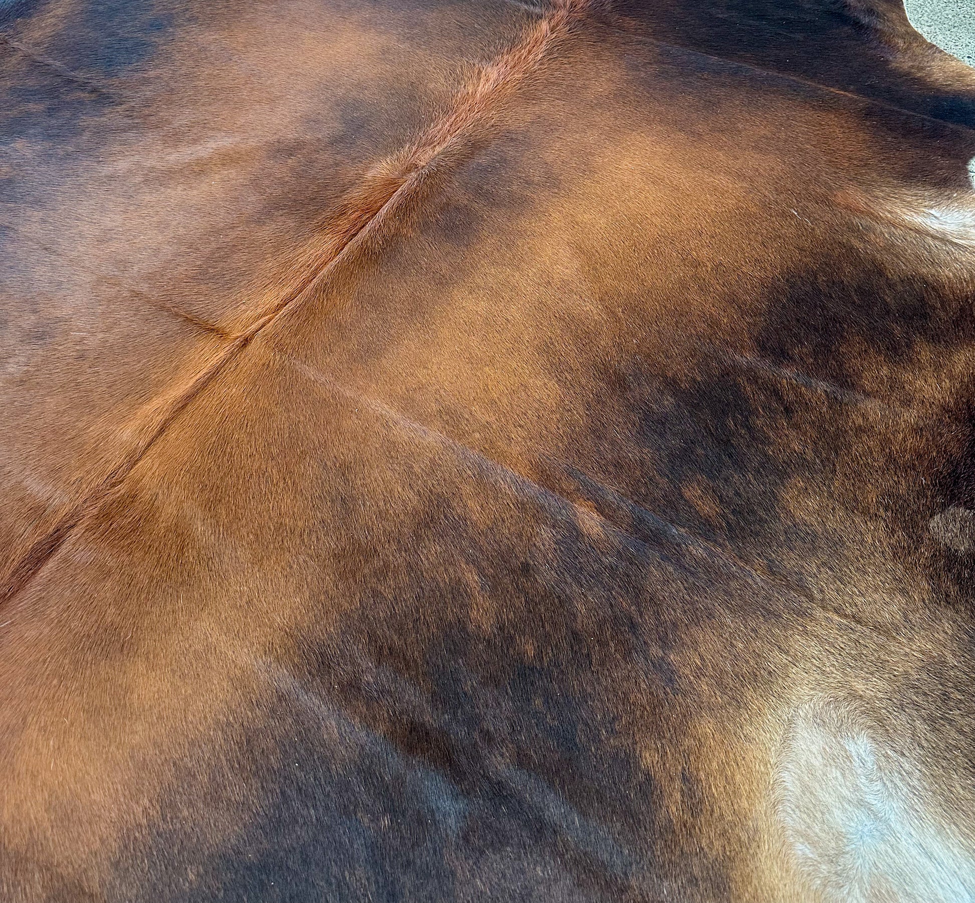 Large Premium Cowhide Rug in dark  Brown and White