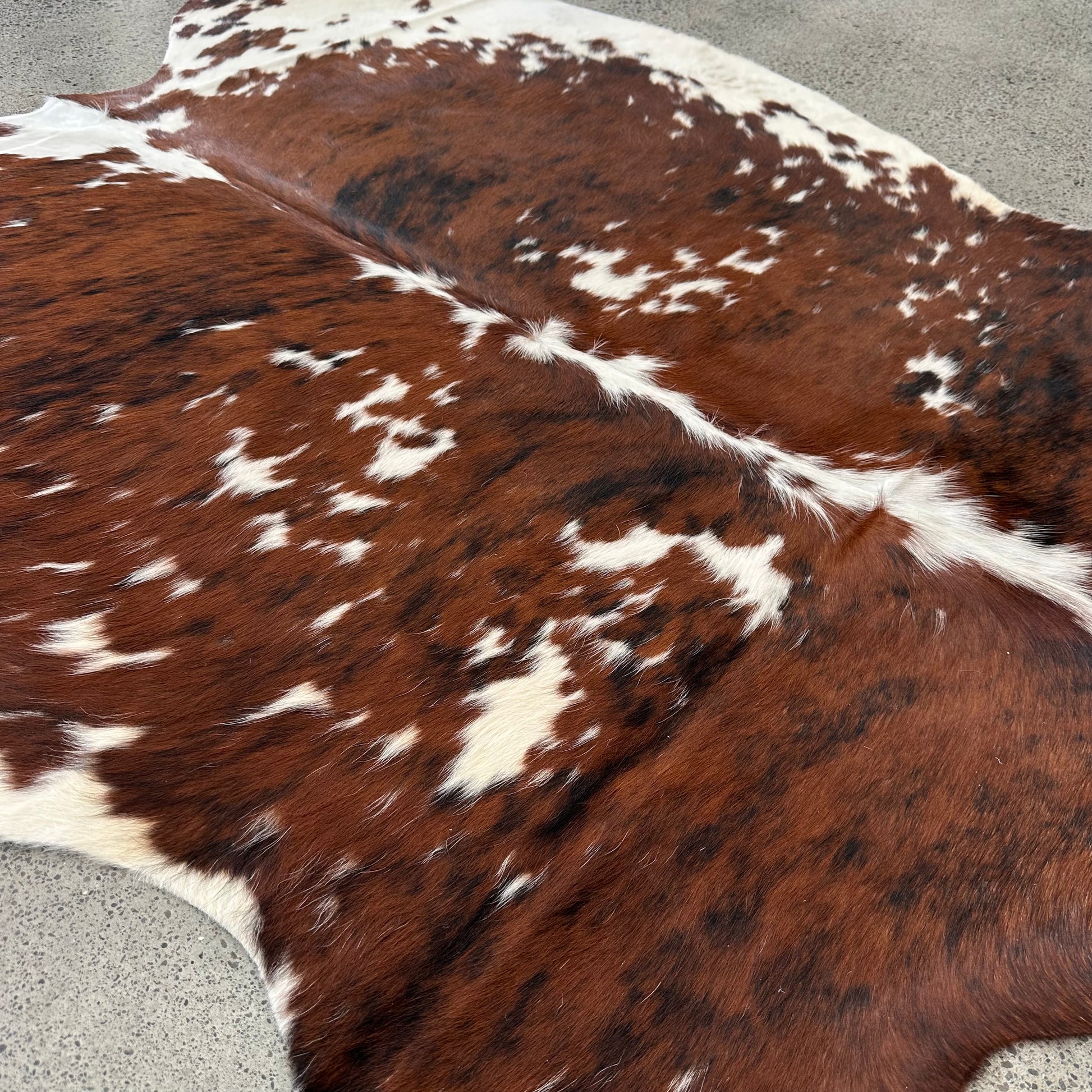 Large premium cowhide rug in brown, white and black 