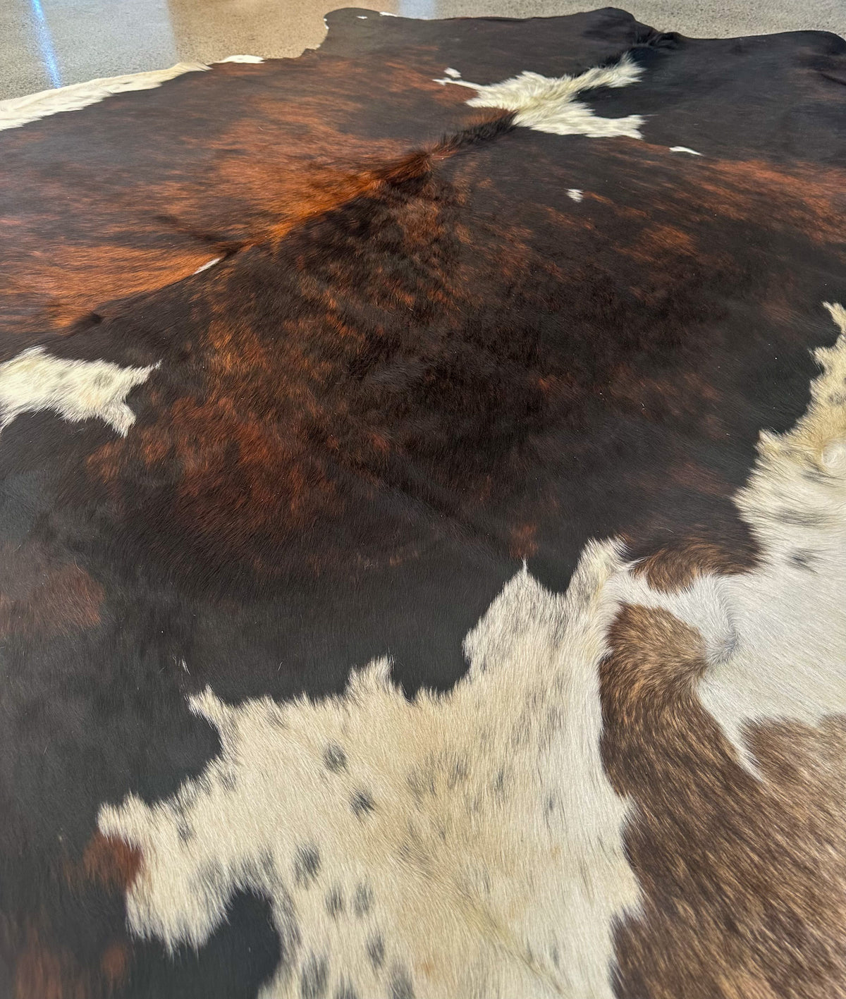 Cowhide Colour Tri Colour Cowhide – The Hideout